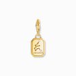 Charm de plata con ba&ntilde;o de oro del signo del Zodiaco Acuario con piedras de la colección Charm Club en la tienda online de THOMAS SABO